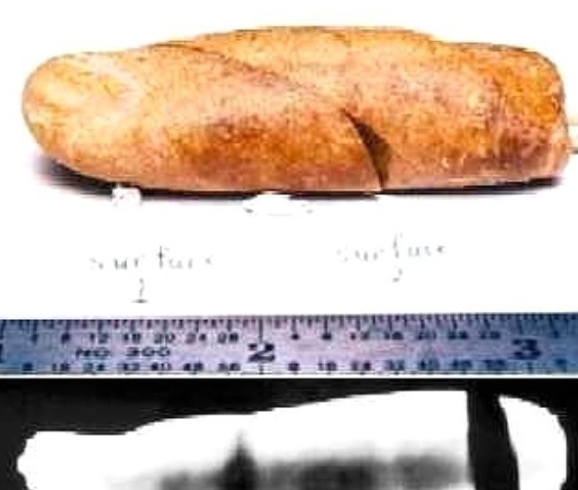 Foto - Fotoğraftaki detay kan dondurdu! Bilim dünyası açıklama yapamıyor