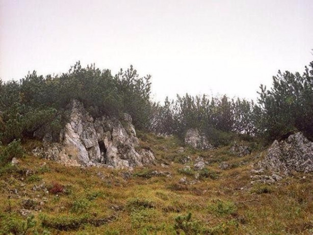 Foto - Fotoğraftaki keskin nişancıyı görebildiniz mi?