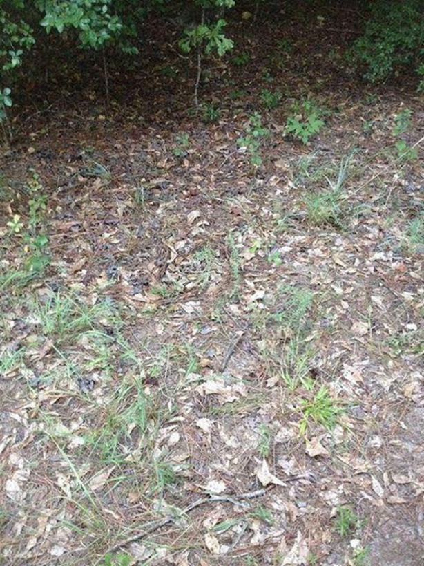 Foto - Fotoğraftaki keskin nişancıyı görebildiniz mi?