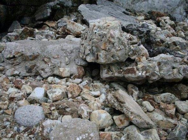 Foto - Fotoğraftaki keskin nişancıyı görebildiniz mi?