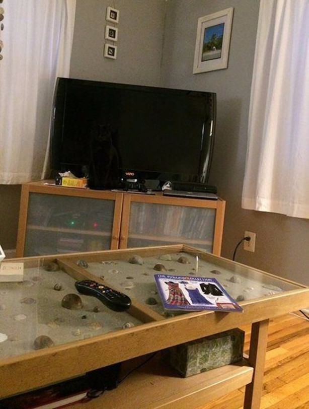 Foto - Fotoğraftaki keskin nişancıyı görebildiniz mi?