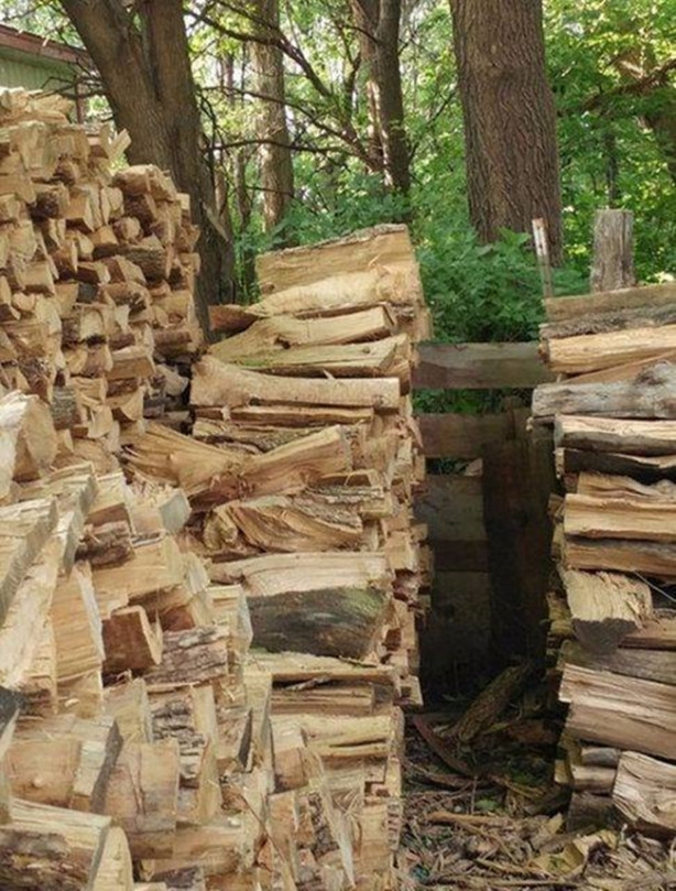 Foto - Fotoğraftaki keskin nişancıyı görebildiniz mi?