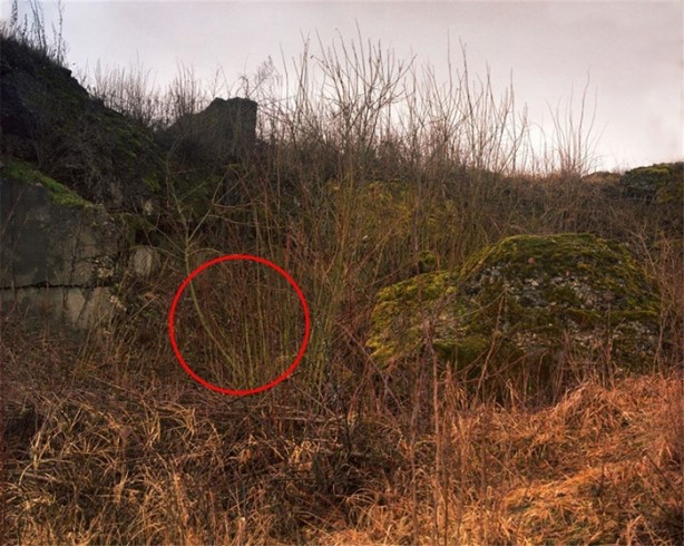 Foto - Fotoğraftaki keskin nişancıyı görebiliyor musunuz?