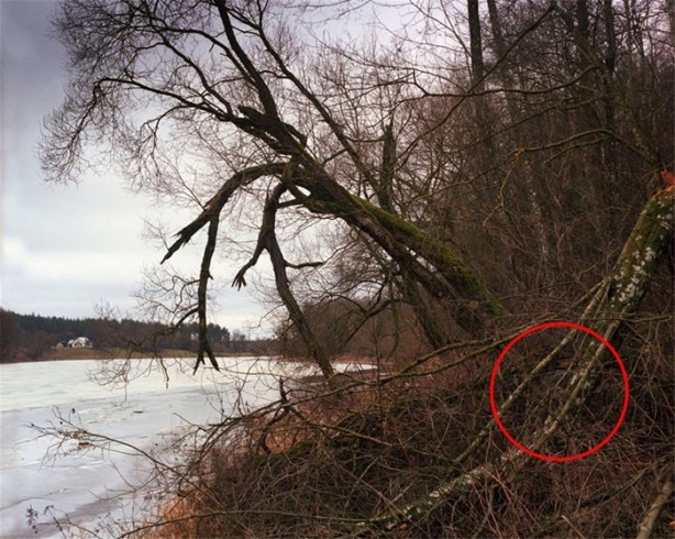 Foto - Fotoğraftaki keskin nişancıyı görebiliyor musunuz?