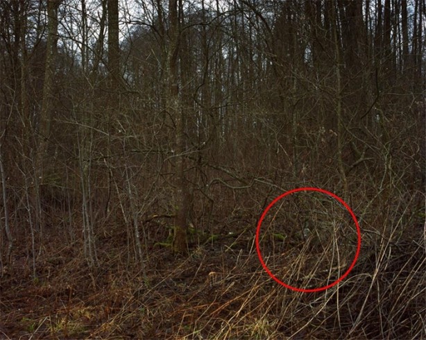 Foto - Fotoğraftaki keskin nişancıyı görebiliyor musunuz?