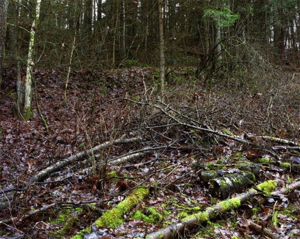 Foto - Fotoğraftaki keskin nişancıyı görebiliyor musunuz?