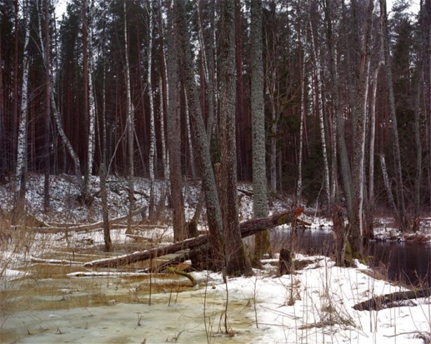 Foto - Fotoğraftaki keskin nişancıyı görebiliyor musunuz?