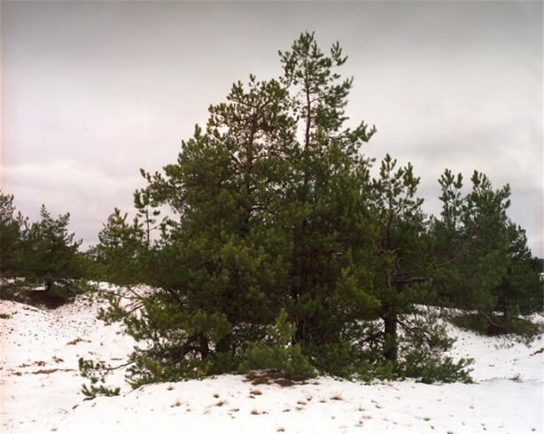 Foto - Fotoğraftaki keskin nişancıyı görebiliyor musunuz?