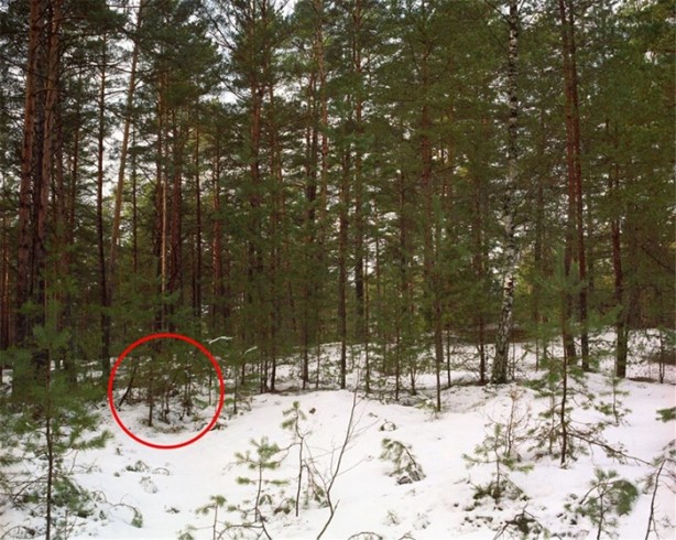 Foto - Fotoğraftaki keskin nişancıyı görebiliyor musunuz?