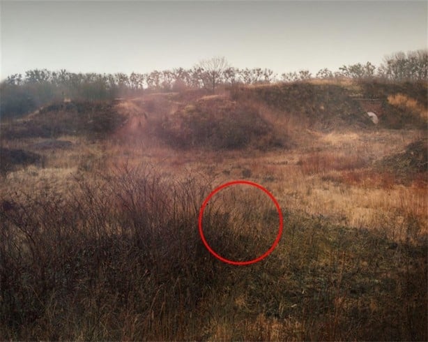 Foto - Fotoğraftaki keskin nişancıyı görebiliyor musunuz?