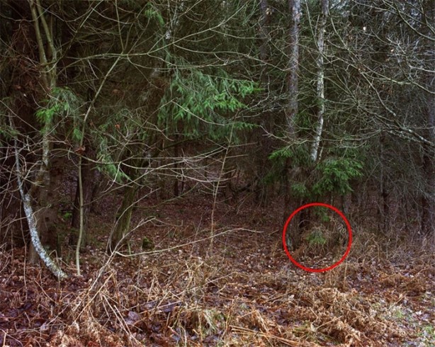 Foto - Fotoğraftaki keskin nişancıyı görebiliyor musunuz?