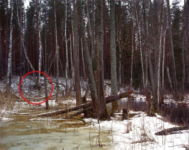 Foto - Fotoğraftaki keskin nişancıyı görebiliyor musunuz?