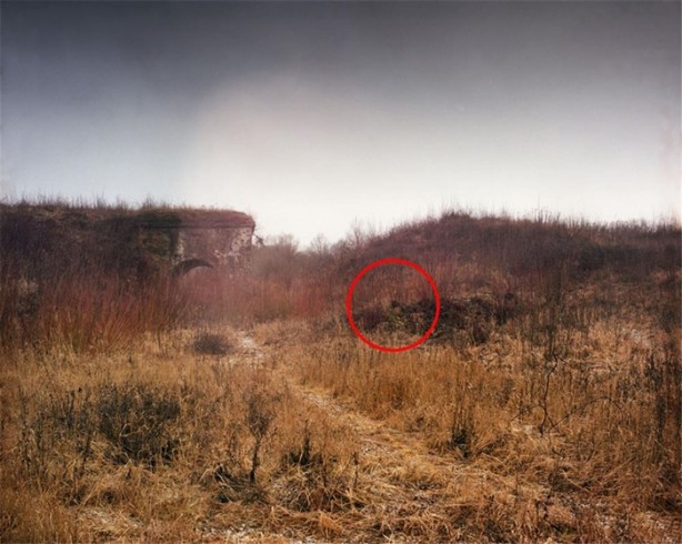 Foto - Fotoğraftaki keskin nişancıyı görebiliyor musunuz?