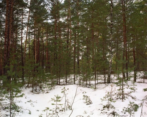 Foto - Fotoğraftaki keskin nişancıyı görebiliyor musunuz?