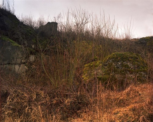 Foto - Fotoğraftaki keskin nişancıyı görebiliyor musunuz?