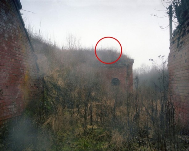 Foto - Fotoğraftaki keskin nişancıyı görebiliyor musunuz?