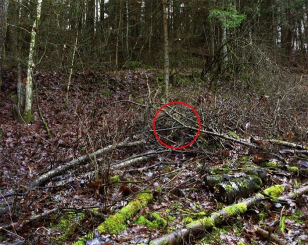 Foto - Fotoğraftaki keskin nişancıyı görebiliyor musunuz?