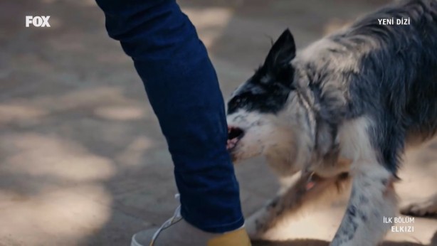 Foto - Fox'un yeni dizisi El Kızı'nda skandal! Büyük tepki gördü