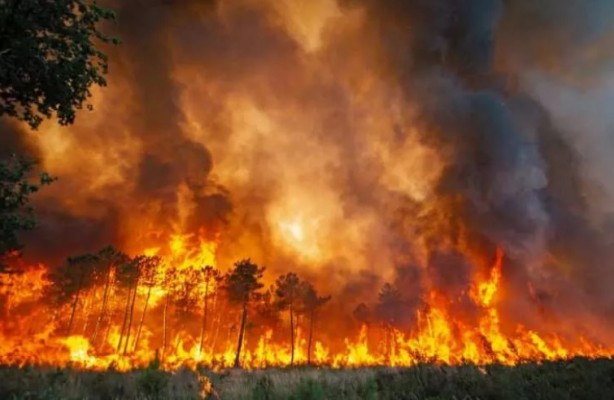 Foto - Fransa cayır cayır yanıyor! Yangın günlerdir söndürülemiyor