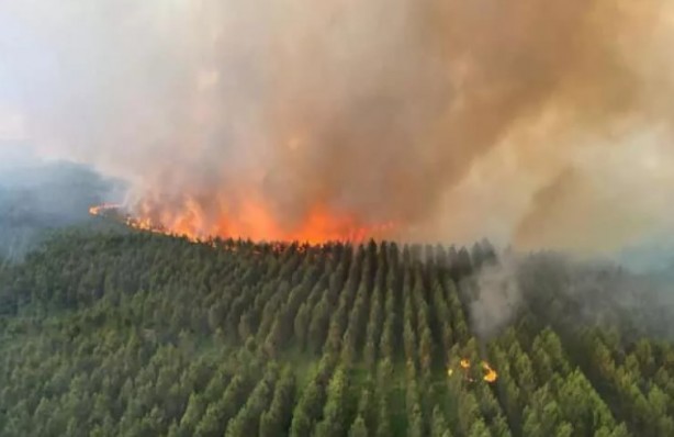 Foto - Fransa cayır cayır yanıyor! Yangın günlerdir söndürülemiyor