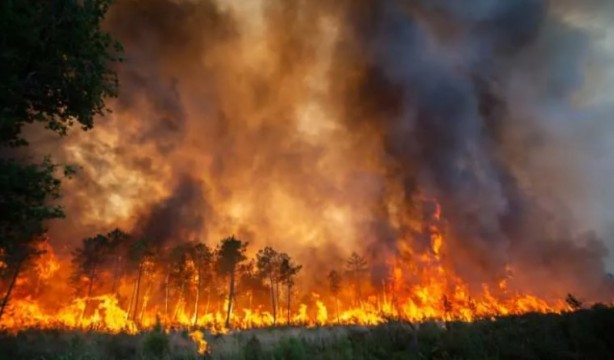 Foto - Fransa cayır cayır yanıyor! Yangın günlerdir söndürülemiyor