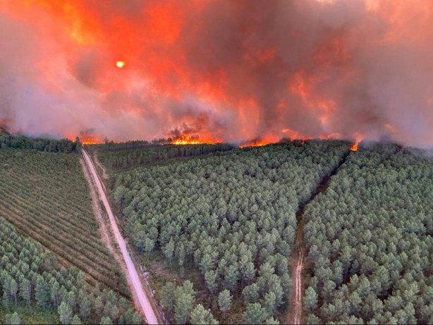 Fransa cayır cayır yanıyor! Yangın günlerdir söndürülemiyor