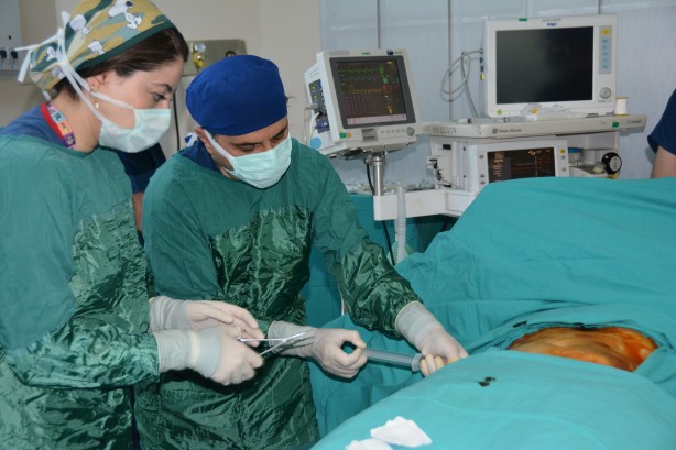 Foto - Fransa'da kapı kapı dolaştı! Olmayınca şifayı Diyarbakır'da buldu