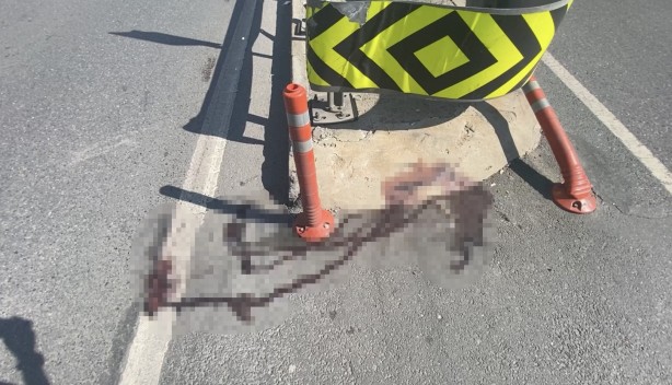 Foto - Fransa’ya gitti, derdi bitmedi Mustafa Muhammed’e arkadaşından şok haber