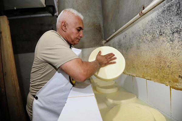 Foto - Fransızlar bu kültürü yok etmiş! Alpler'den Cezayir'e uzanan bir peynir hikayesi