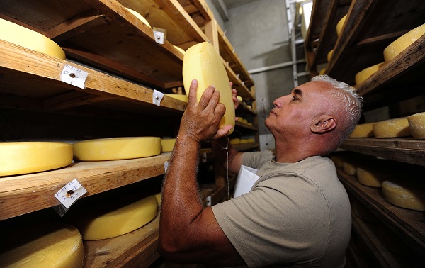 Foto - Fransızlar bu kültürü yok etmiş! Alpler'den Cezayir'e uzanan bir peynir hikayesi