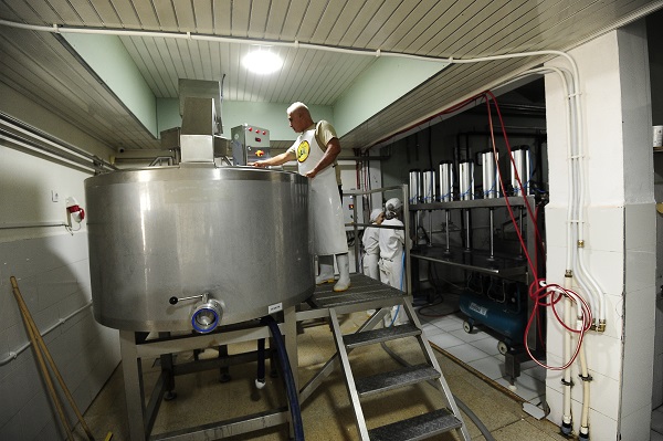 Foto - Fransızlar bu kültürü yok etmiş! Alpler'den Cezayir'e uzanan bir peynir hikayesi