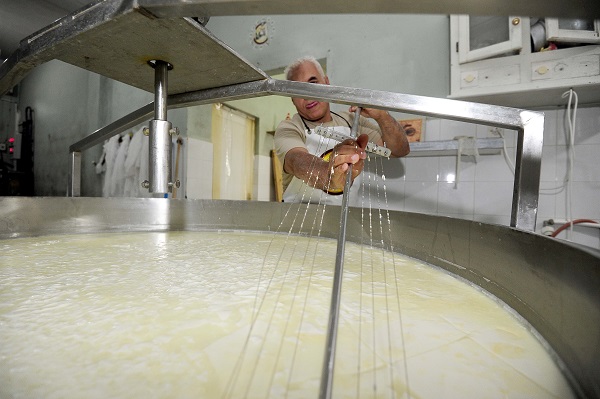 Foto - Fransızlar bu kültürü yok etmiş! Alpler'den Cezayir'e uzanan bir peynir hikayesi