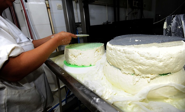 Foto - Fransızlar bu kültürü yok etmiş! Alpler'den Cezayir'e uzanan bir peynir hikayesi