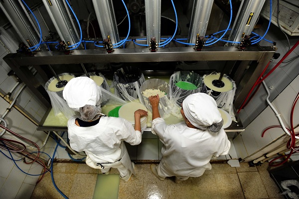 Foto - Fransızlar bu kültürü yok etmiş! Alpler'den Cezayir'e uzanan bir peynir hikayesi