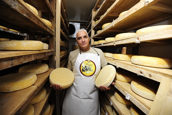 Foto - Fransızlar bu kültürü yok etmiş! Alpler'den Cezayir'e uzanan bir peynir hikayesi