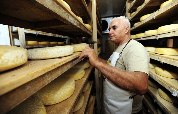 Foto - Fransızlar bu kültürü yok etmiş! Alpler'den Cezayir'e uzanan bir peynir hikayesi