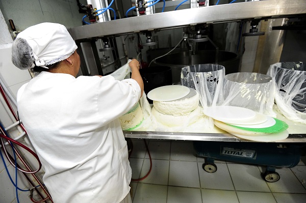 Foto - Fransızlar bu kültürü yok etmiş! Alpler'den Cezayir'e uzanan bir peynir hikayesi