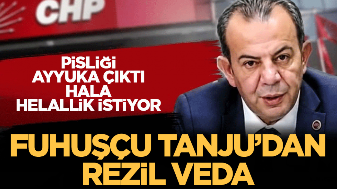 Fuhuşçu Tanju’dan rezil veda! Pisliği ayyuka çıktı, hala helallik istiyor