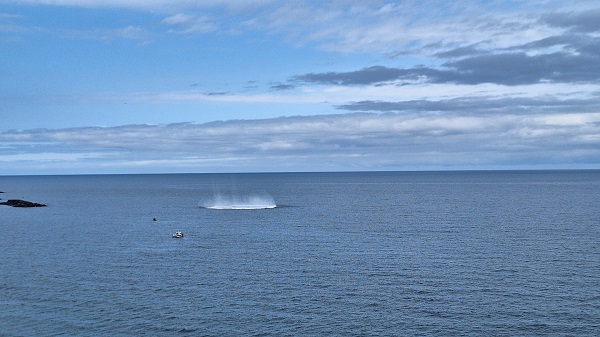 Foto - Fünye ile patlatıldı! Trabzon açıklarında sıcak dakikalar