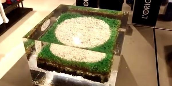 Foto - Futbol kulüplerinin sattığı sıra dışı ürünler