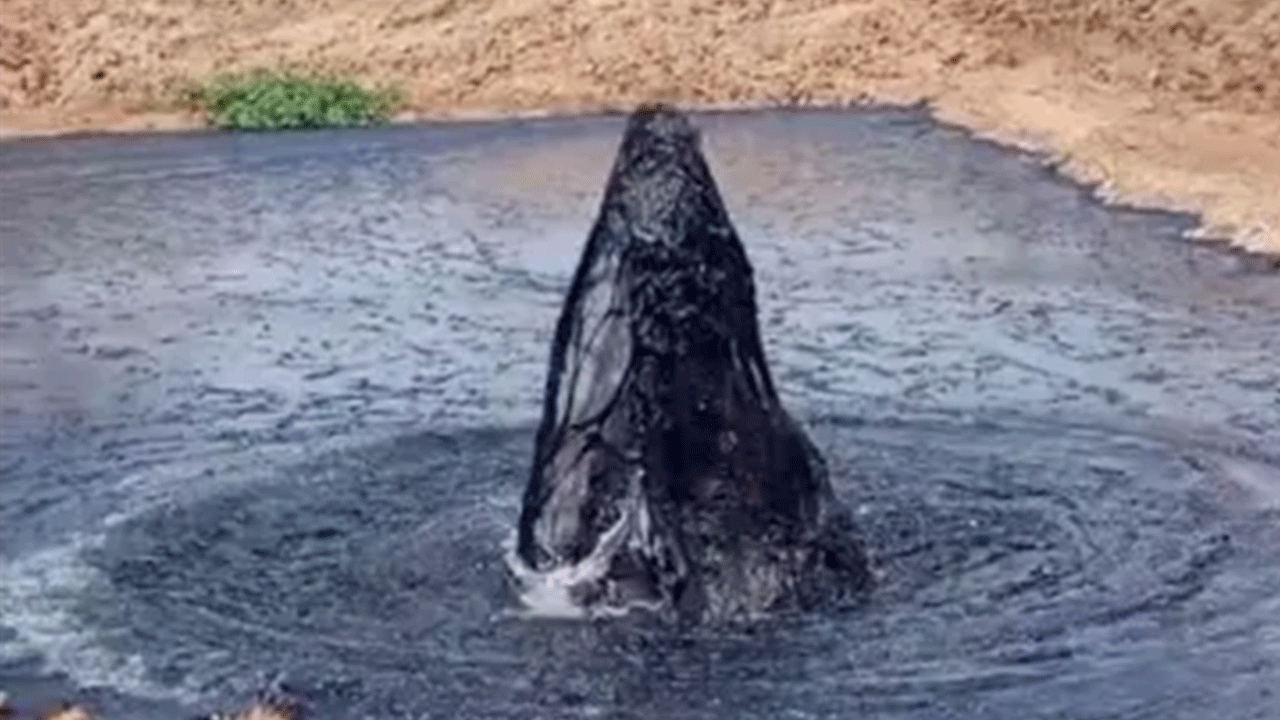Foto - Gabar'dan sonra bir ilden daha petrol müjdesi: Petrol kulesi dikiliyor!