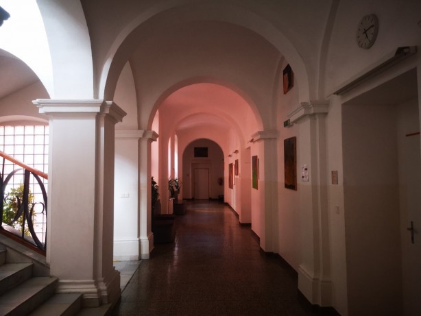 Foto - Galiçya'daki Türk askerlerinin ilk defa yayınlanan fotoğrafları