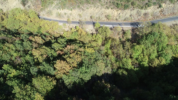 Foto - Ganos'un etekleri sonbahar renklerine büründü
