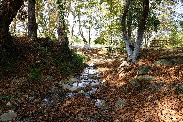 Foto - Ganos'un etekleri sonbahar renklerine büründü