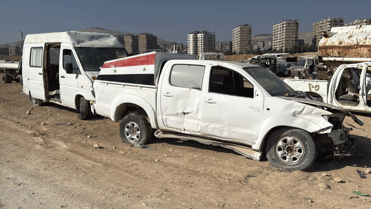 Foto - 14 yıllık hasret sona erdi: Hepsi sahiplerini bekliyor!