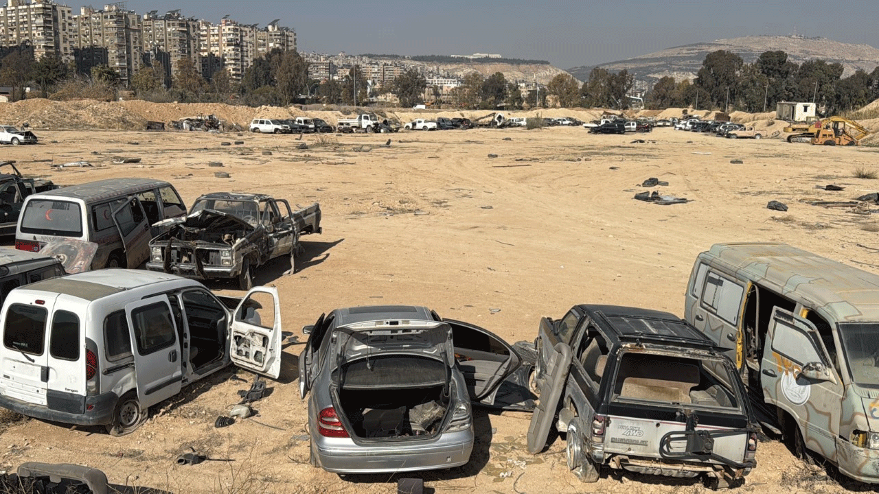 Foto - 14 yıllık hasret sona erdi: Hepsi sahiplerini bekliyor!