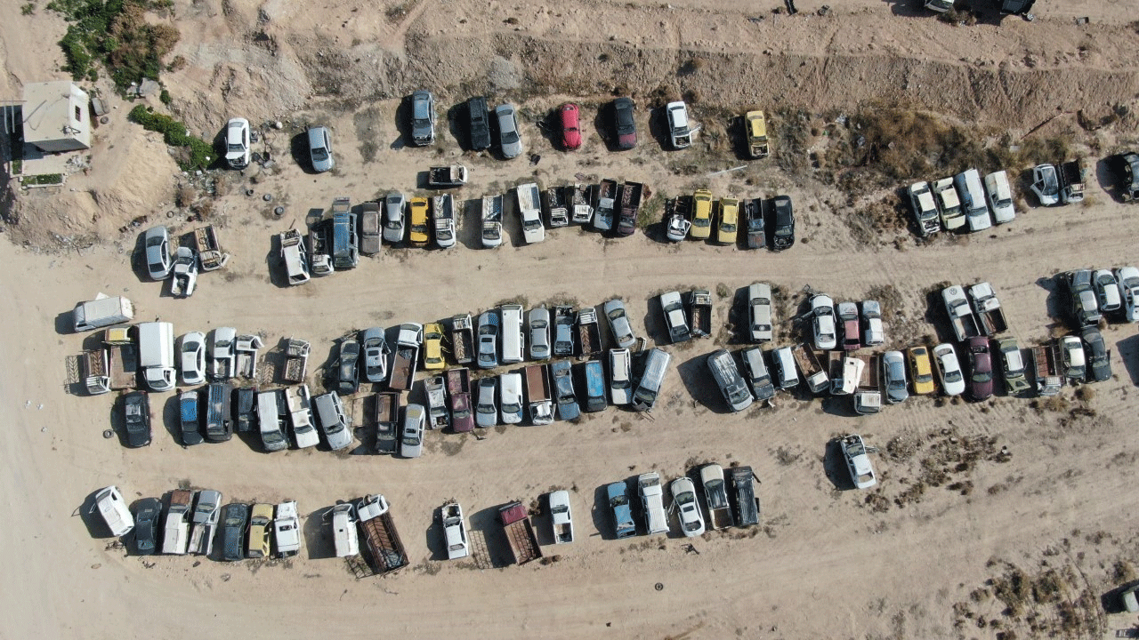 Foto - 14 yıllık hasret sona erdi: Hepsi sahiplerini bekliyor!