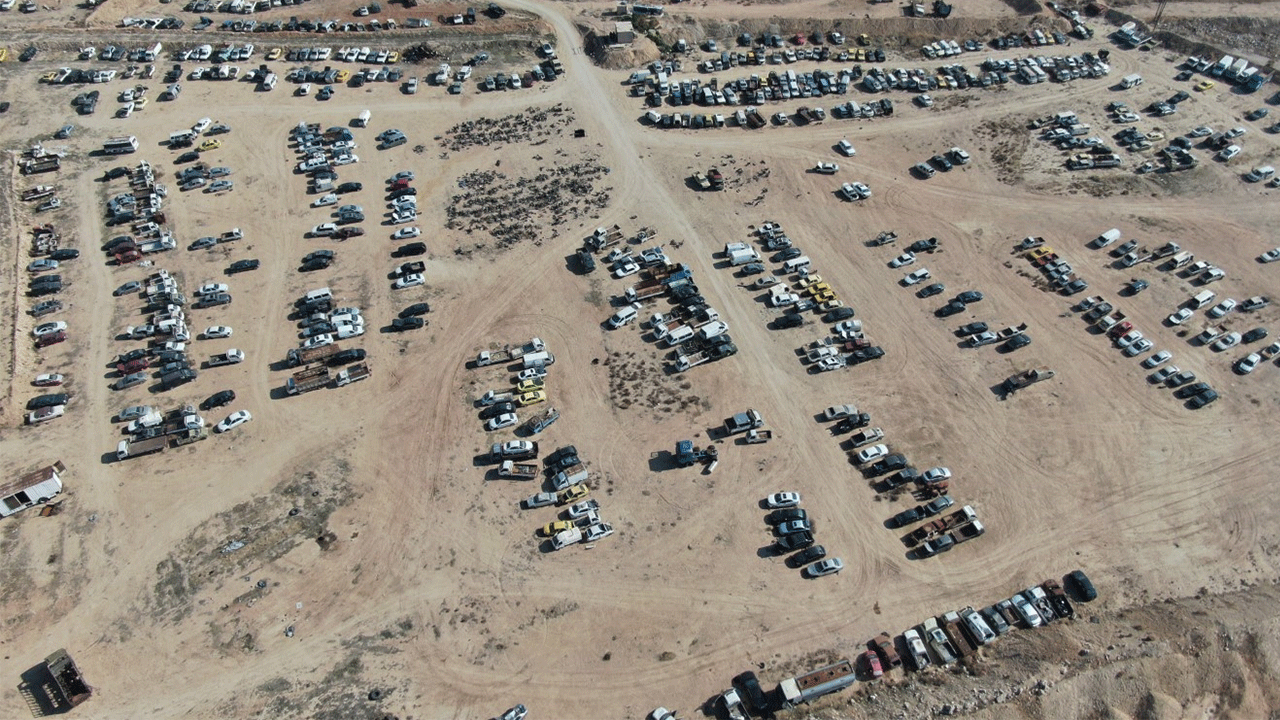 Foto - 14 yıllık hasret sona erdi: Hepsi sahiplerini bekliyor!