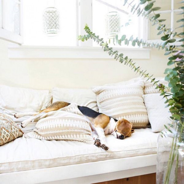 Foto - Garajda yaşıyorlar! Bakın neden...