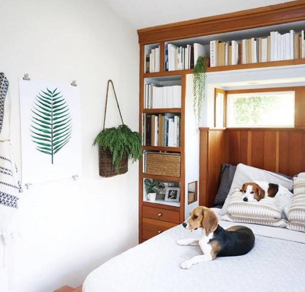 Foto - Garajda yaşıyorlar! Bakın neden...